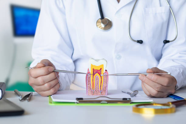 Best Cosmetic Emergency Dentistry in Loxley, AL